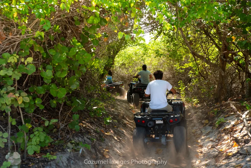 ATV ride through the jungle